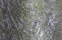 St Decumans fibreglass roof work